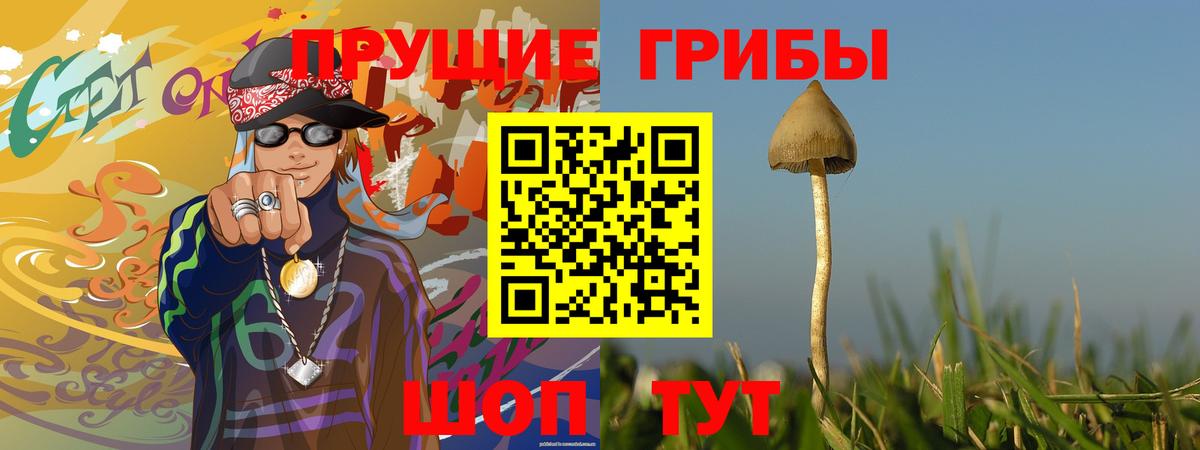 Галлюциногенные грибы MAGIC MUSHROOMS Зеленодольск
